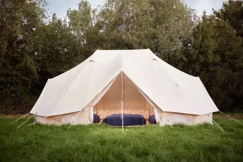 Header The Boss Comfort 6pax