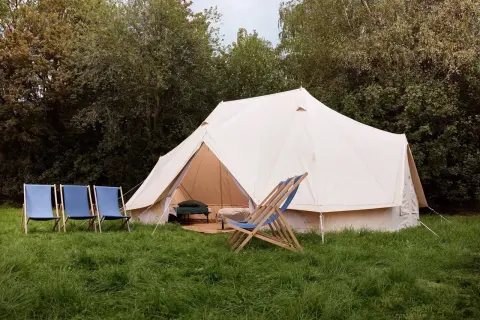 Header The Boss Premium Boutique 6pax