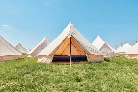 Header The Elvis Comfort 4pax